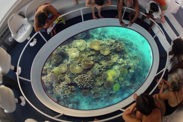 Glass Bottom Boat Trip in Sharm el Sheikh